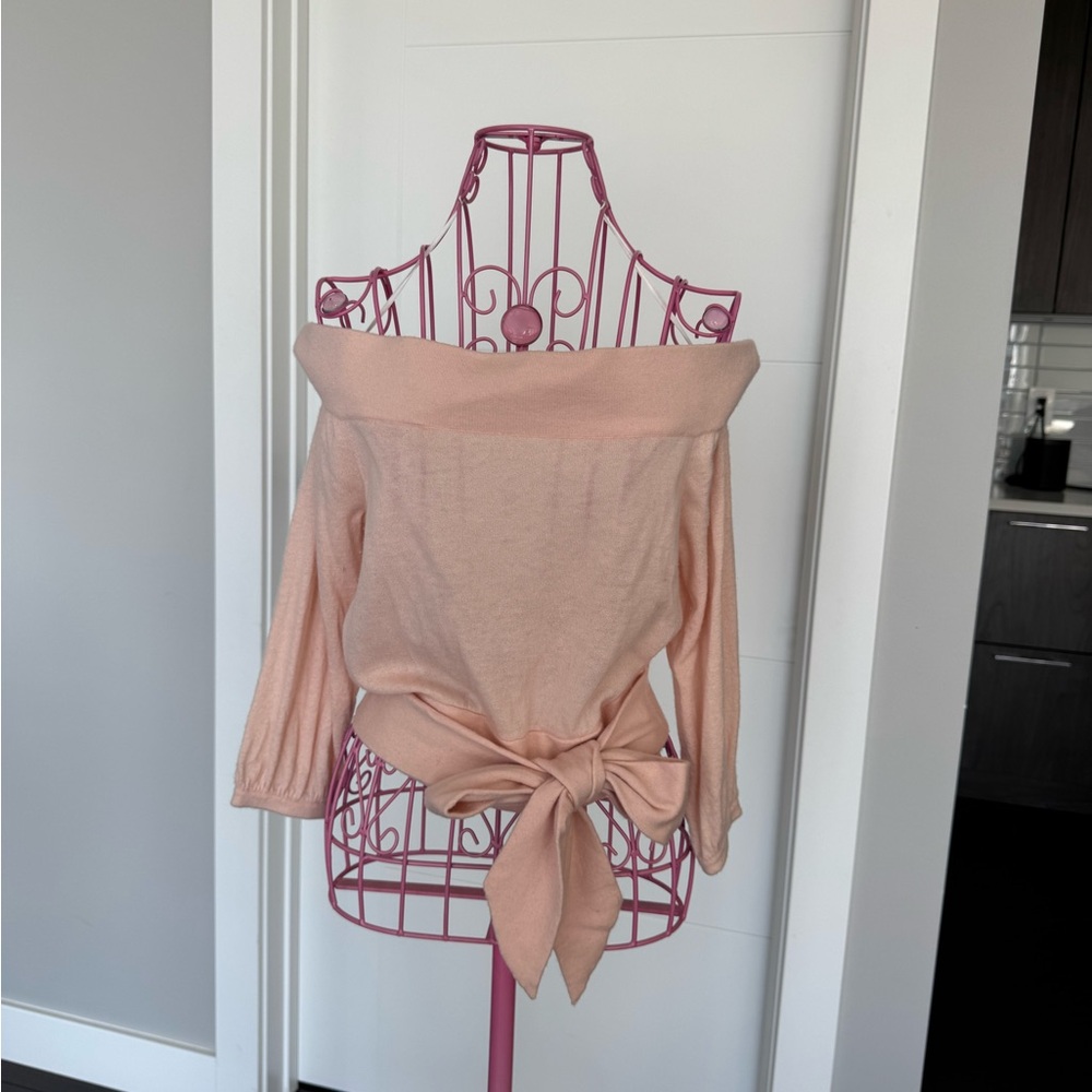 Club Monaco Soft Pink Cashmere Top